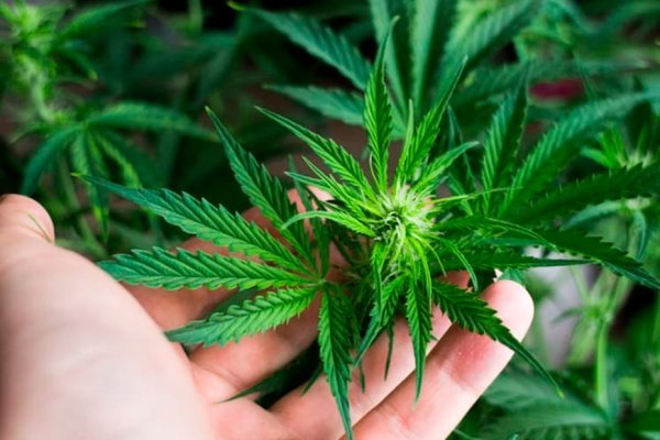 Не могу зайти в аккаунт кракен