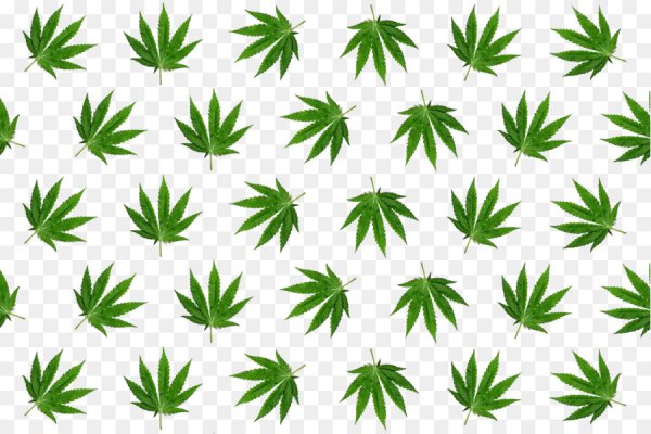 Кракен пишет пользователь не найден