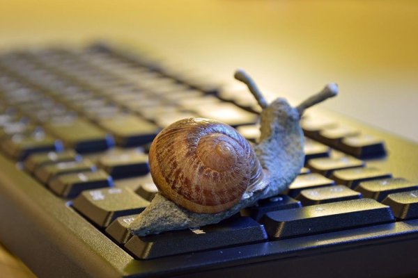 Почему не работает кракен