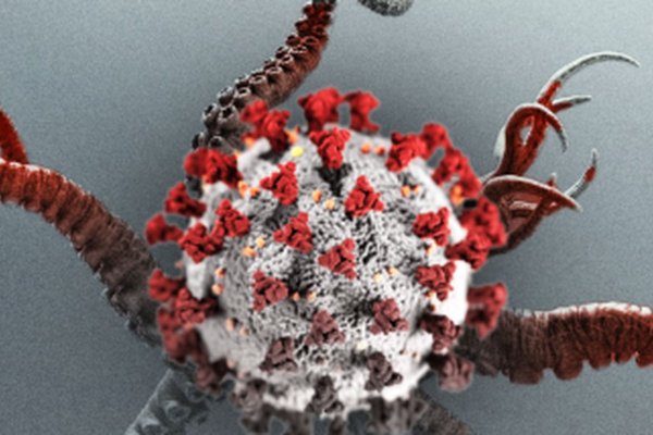 Купить наркотики онлайн