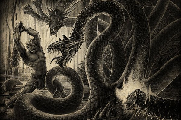 Кракен даркнет поддержка