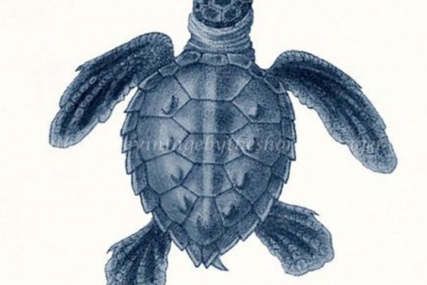 Кракен настоящее зеркало