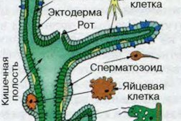 Кракен даркнет слушать